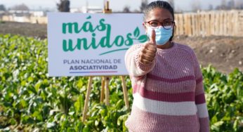 Día de las Cooperativas: Asociatividad potencia el desarrollo de más de 2000 pequeños agricultores que se conectan con grandes mercados