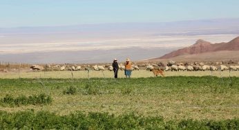Pequeños agricultores de todo Chile participaron en talleres para construir nuevas estrategias ante el cambio climático