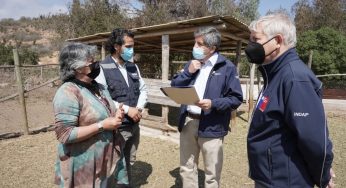 Sequía en Valparaíso: Comienza entrega de bono de emergencia a más de 3 mil pequeños ganaderos y apicultores