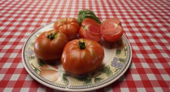 Rescate del tomate limachino y tecnificación del riego: Énfasis de la visita del director nacional de INDAO a Región de Valparaíso