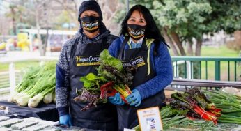 Asociatividad y comercialización: INDAP consolida red de mercados campesinos y amplía oportunidades de venta en periodo 2018-2022