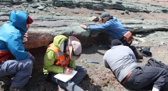 Académicos de Geología UNAB descubrieron arco volcánico perdido del Cretácico Inferior