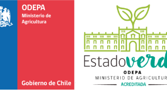 Herramientas digitales para evitar los desperdicios de alimentos