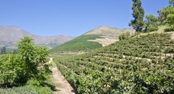 Pymes agrícolas de Aconcagua Quillota optimizan gestión de riego con tecnologías de eficiencia hídrica