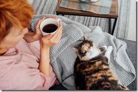 Close-up woman in a plaid drinking hot tea, petting a relaxed cat on the sofa at home. Cozy and comfortable winter or autumn weekends. Pleasant ways to keep warm. Take a break and relax