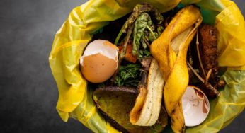 Chilenos estiman perder 23 mil pesos en promedio al mes a causa del desperdicio de alimentos en sus hogares