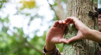 18 de octubre: Día Mundial de la Protección de la Naturaleza