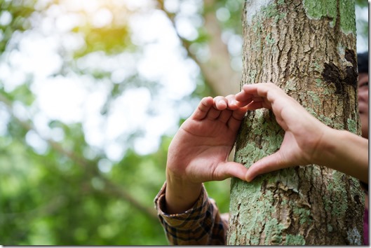 Forest conservationist forms heart shape with their hands around a tree trunk in a peaceful park. love for nature, commitment to environmental protection, importance of sustainable ecosystems.