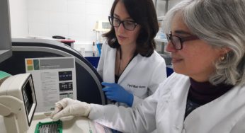 Patógenos Emergentes y Biocontrol en la Agricultura Chilena: El Caso de Ralstonia solanacearum en Tomates