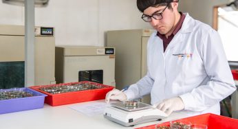 Duoc UC Sede Valparaíso certificó 100% de la Palta Hass que exportó Chile en 2024